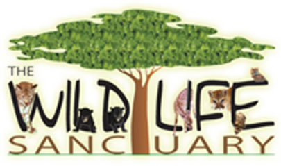 wild life sanctuary